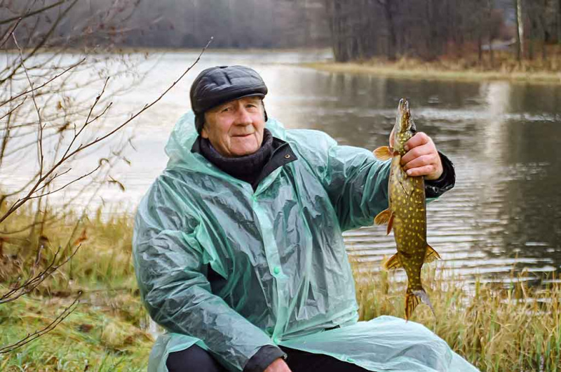 Iš senų užrašų. Dvi dienos iki Kiaulės metų. Antra dalis