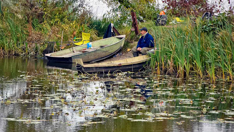Balų valdovo kaprizai. Antra dalis
