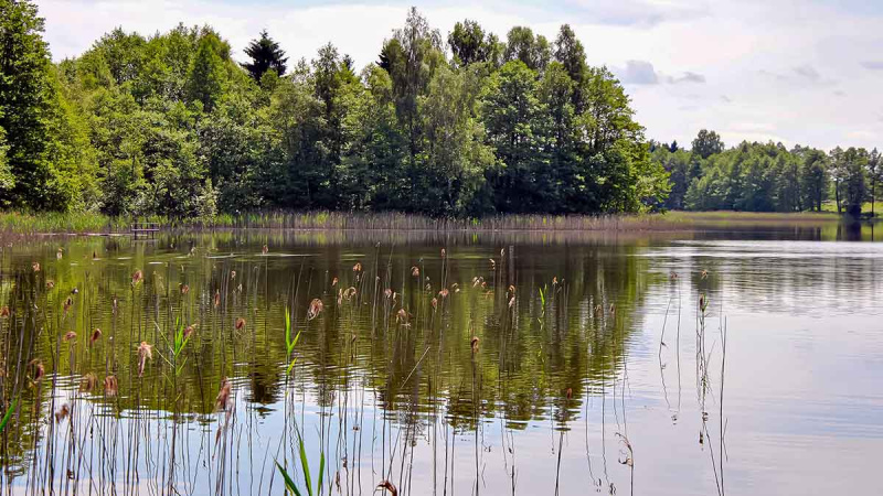 Kaip pagauti pavasarinę lydeką. Antra dalis