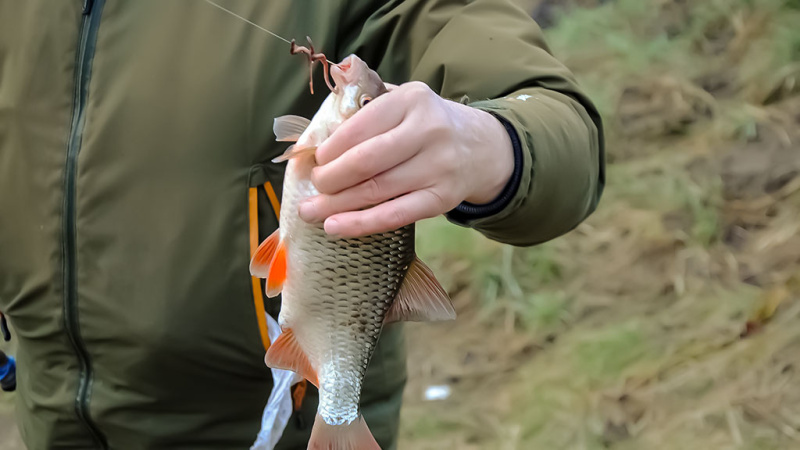 Nemunas, plūdinė ir senos dambos. Kaip jaukinti, kuo žvejoti