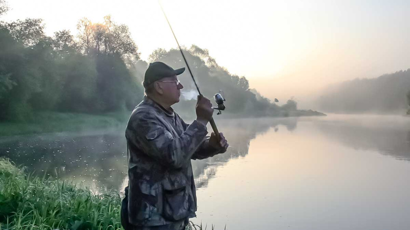 Nors ir žvynuotos, bet labai intelektualios