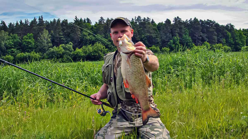 Vobleris po mikroskopu – liežuvis ir kilpa. Pirma dalis