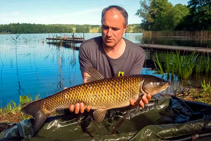 Bizono medžioklė arba kaip pagauti amūrą