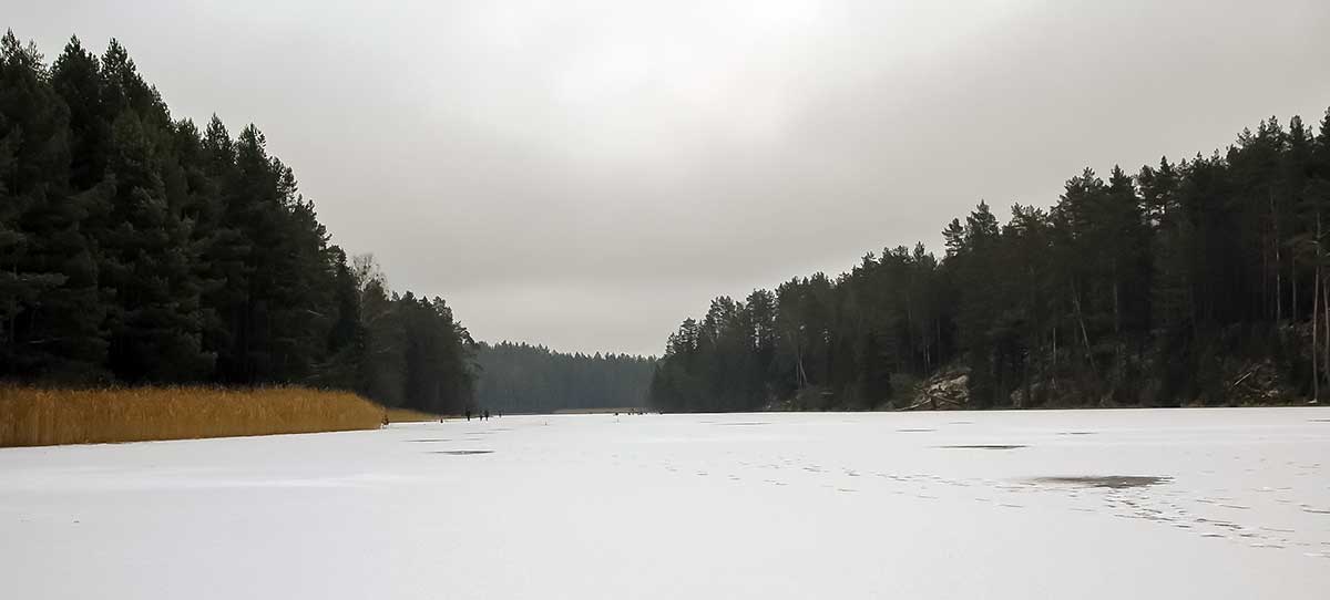Didelių kuojų paieškos viduržiemyje