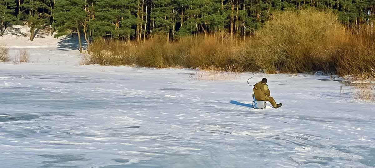 Plačiau apie avižėlių spalvines variacijas