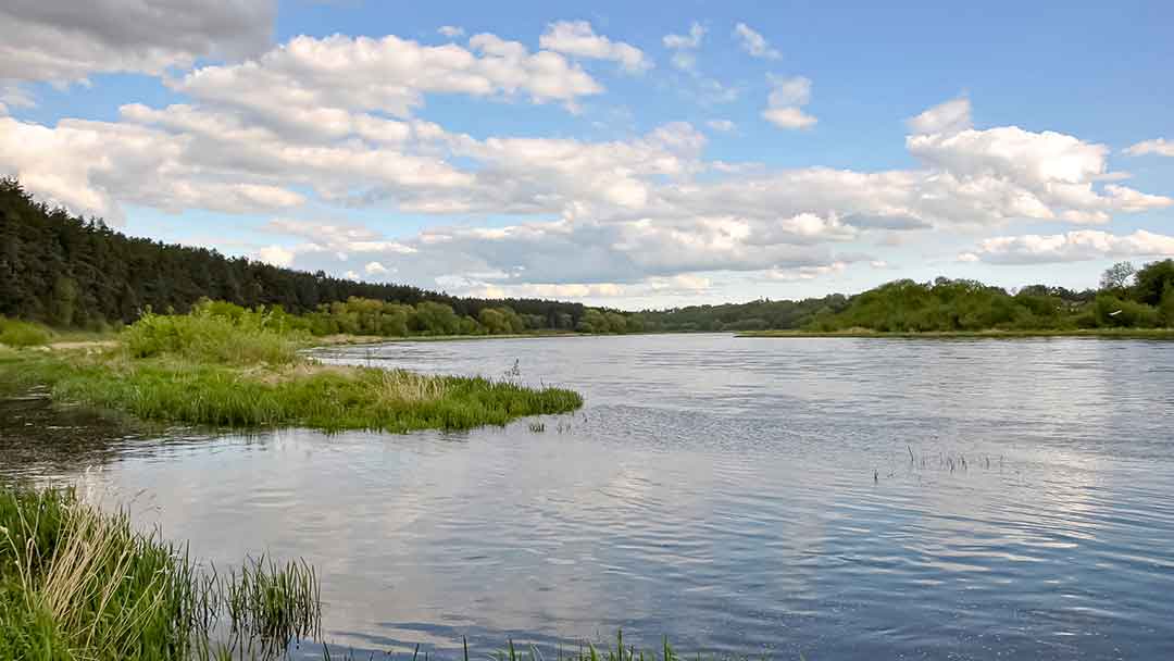 Karosai vietoje žiobrių