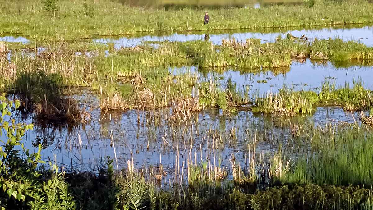 Lyną – ūkiškai