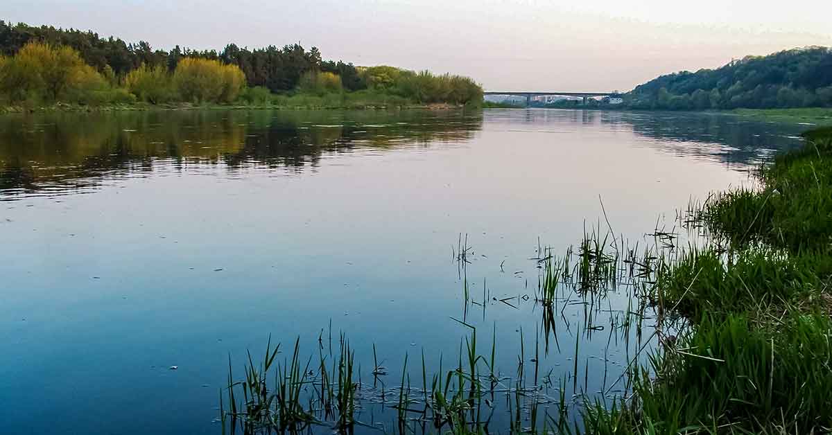 Pats paprasčiausias pavasarinės lydekos gundymas