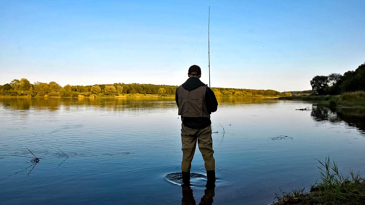 Nemuno įlankos. Sterkai ir lydekos