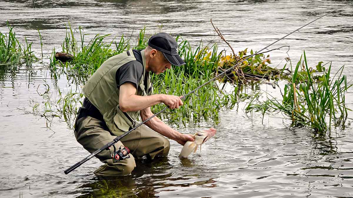 Sterką – guminuku. Masalai