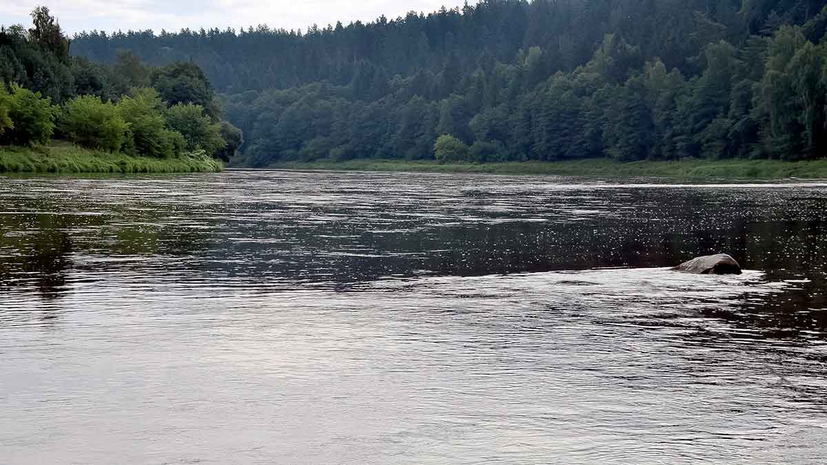 Ieškok žuvų masalų „kapinyne“