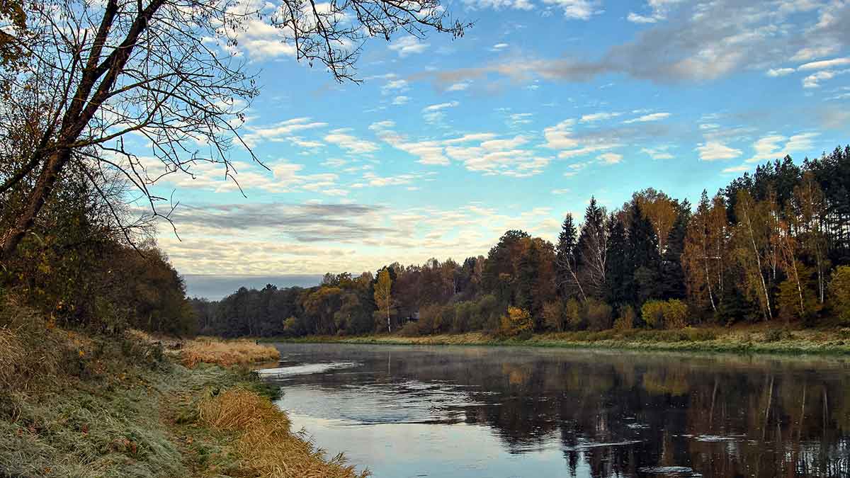 Kaip spiningauti šiekštynuose