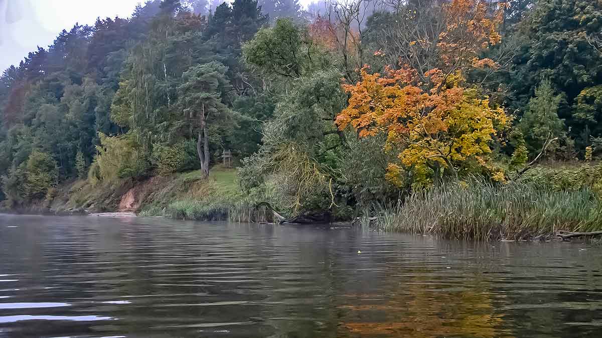 Tvenkinių sterkai įpusėjus rudeniui