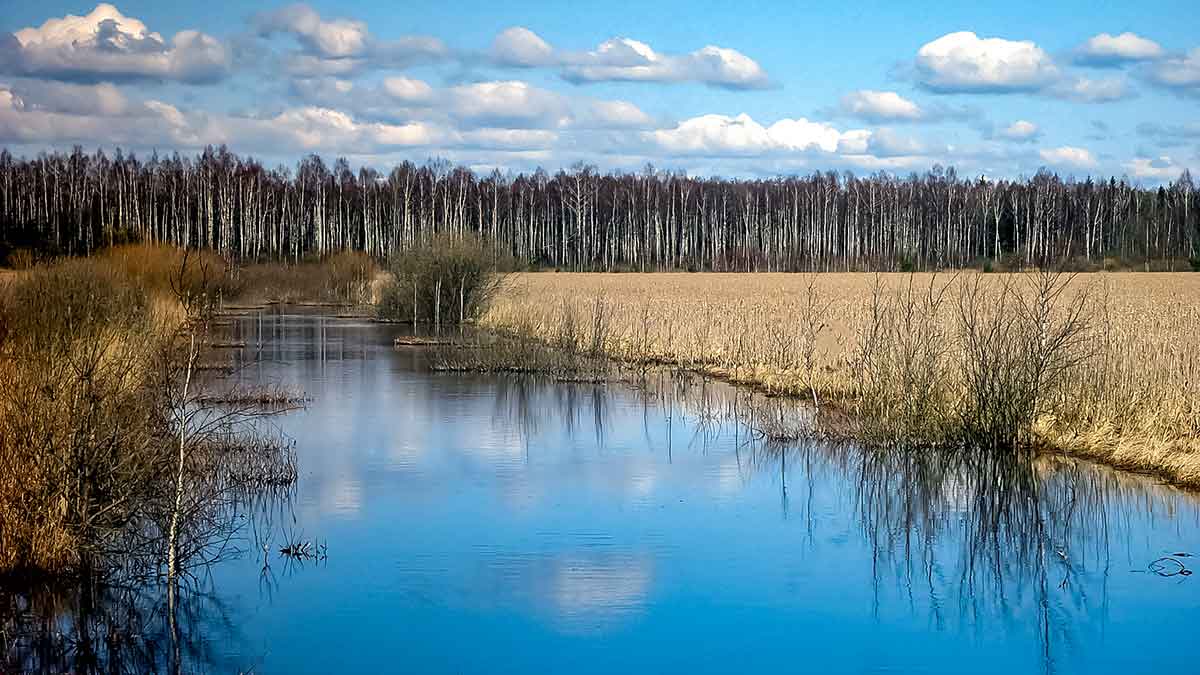 Senvagių lydekos vėlyvą rudenį. Prie Nemuno