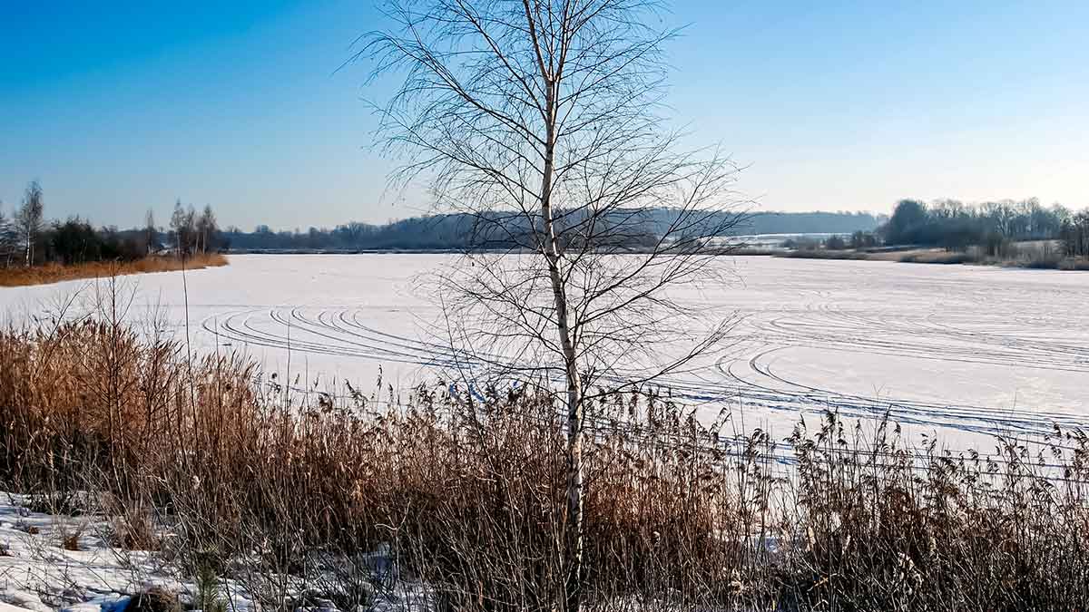 Pirmledžio lydekos. Apie siauras eketes, slidų ledą ir raudonus sparnus