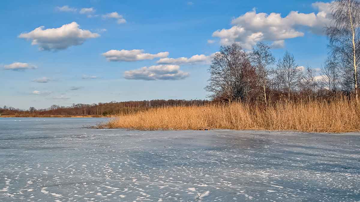 Ant ledo su švytuokle. Pirma dalis