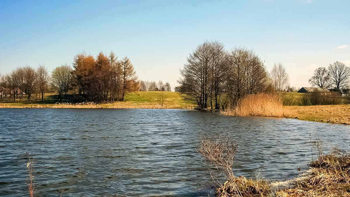 Karosų meškeriojimas naudojant waggler plūdę