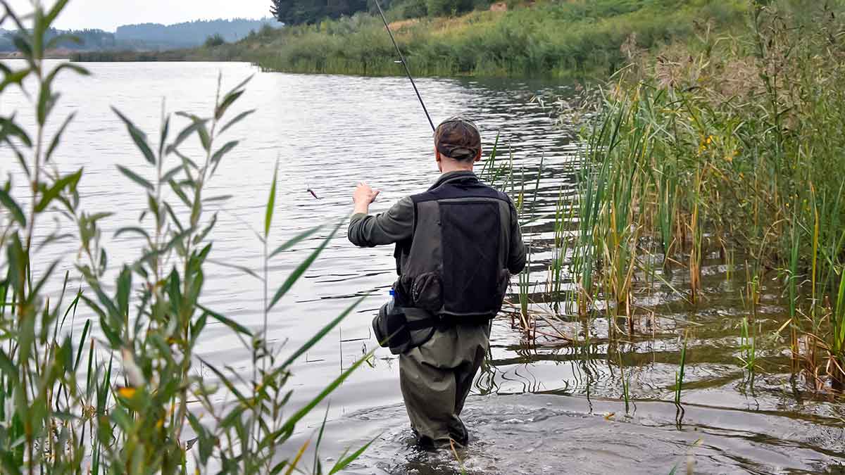 Džigavimas grobuonių akimis