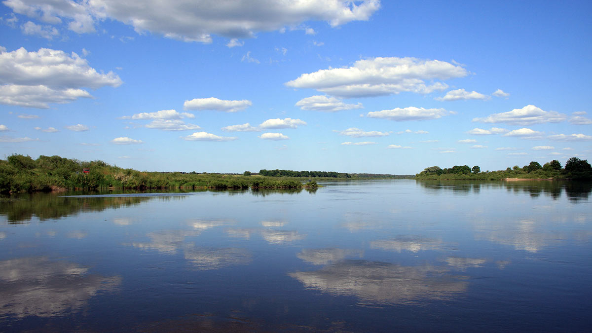 Sterkų žūklė guminukais. Antra dalis