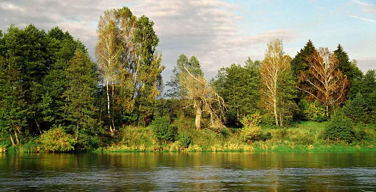 Ratlinais šapalus ir salačius