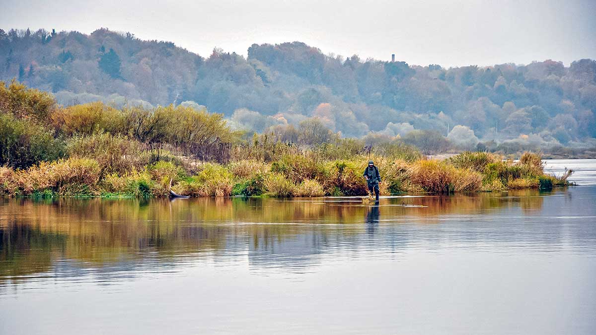 Lydekų gaudymas per darganą