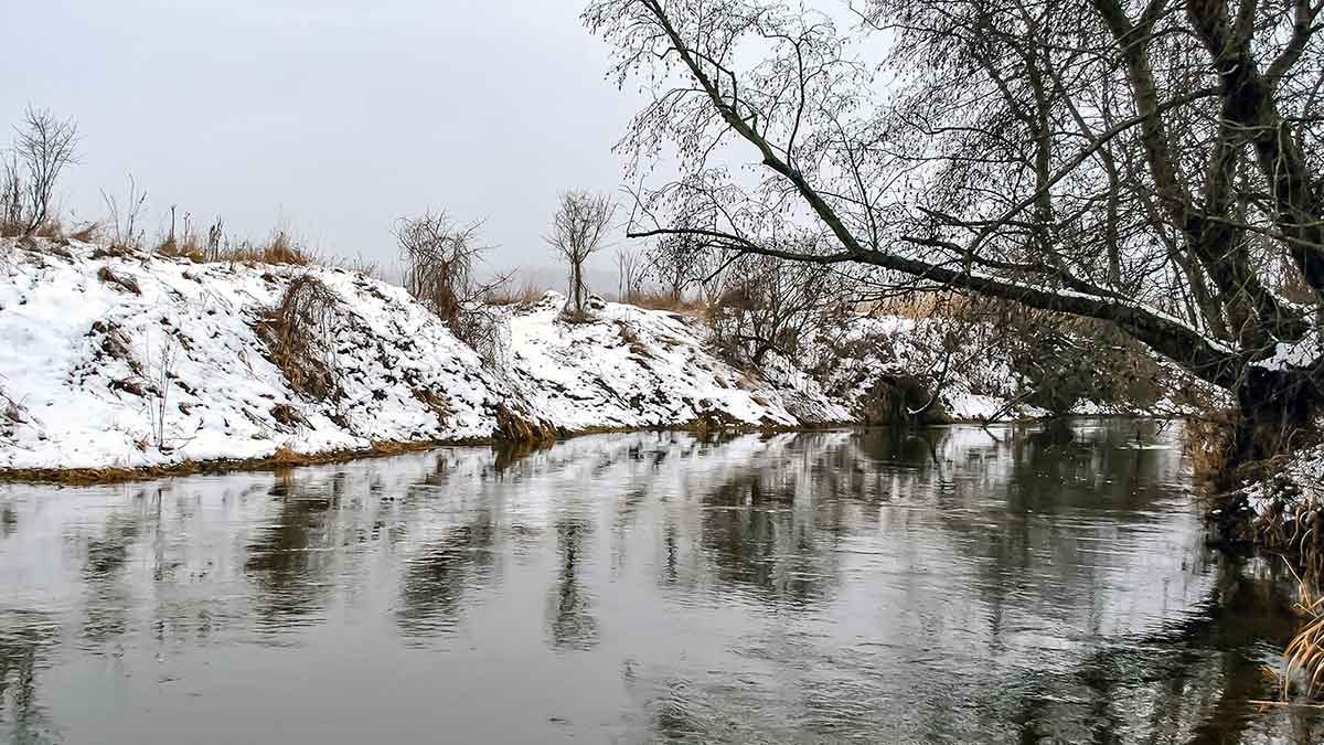 Kaip gaudyti nekimbančius šapalus