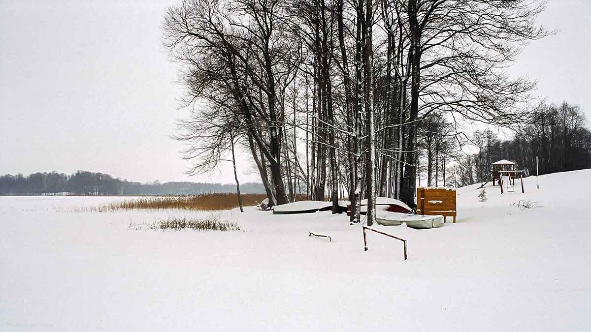 Meldynų karalijoje. Antra dalis