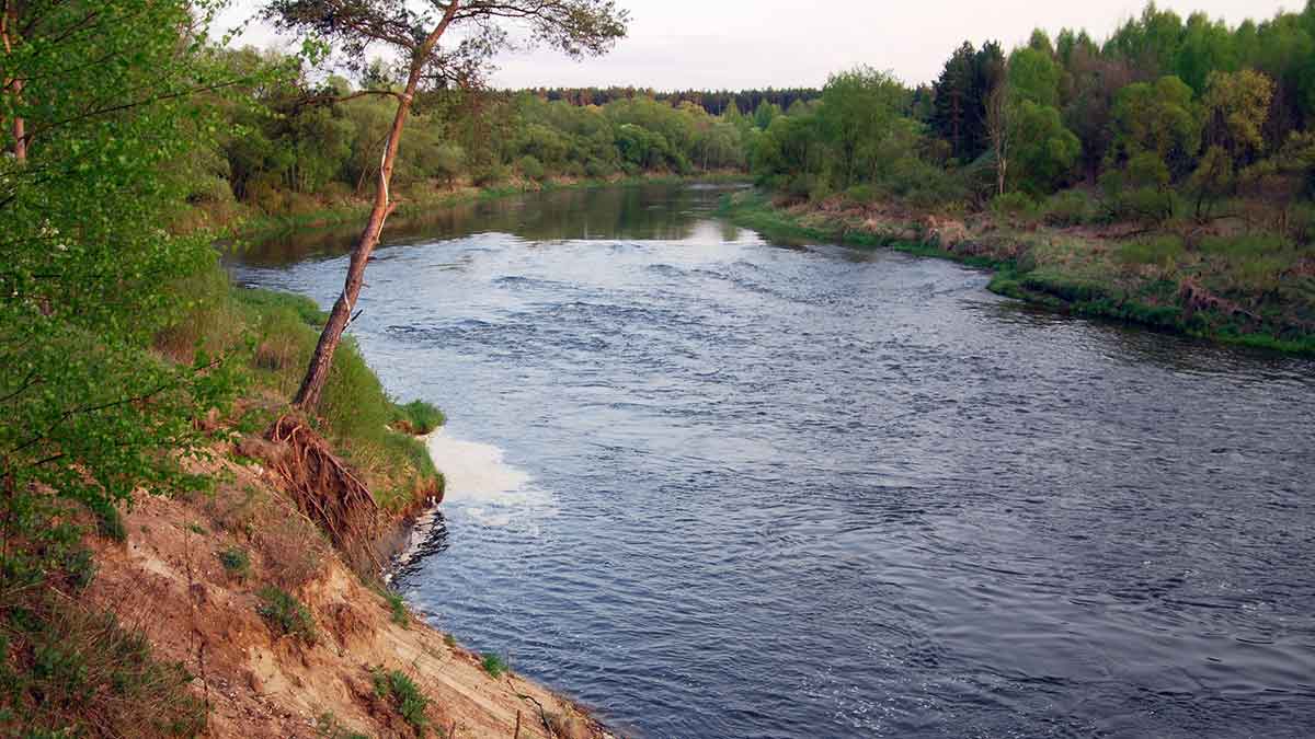 Upių sraunumose su sbirulino plūde