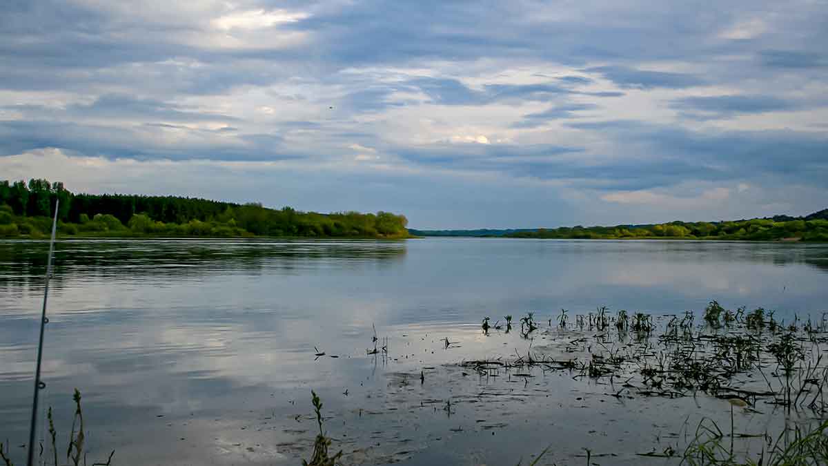 Dambologija. Trečia dalis