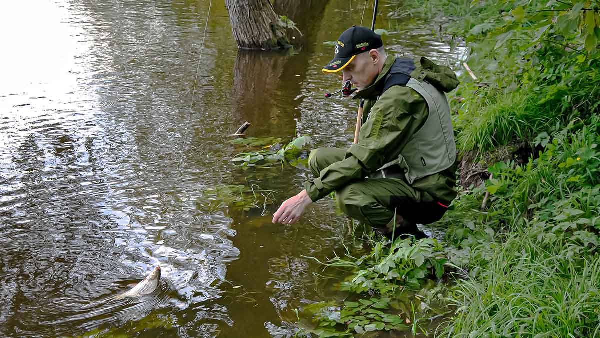 Didelė mažų svarelių reikšmė. Trečia dalis