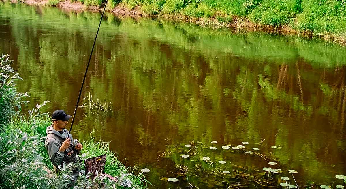 Meškeriotojo virtuvė. Kitos bazinio jauko sudėtinės dalys