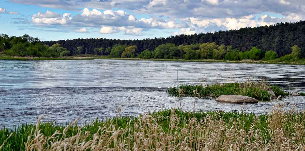 Sukriukės su pasunkintas kūneliais – vertas dėmesio masalas