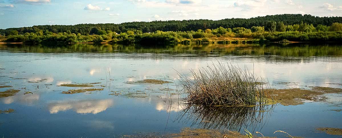 Masalas, kuris suvirpina žuvies širdį