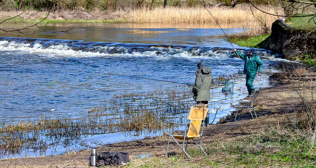 Kodėl sugenda ritės?