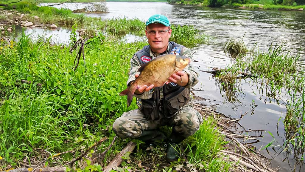 Žirnių sauja. Antra dalis
