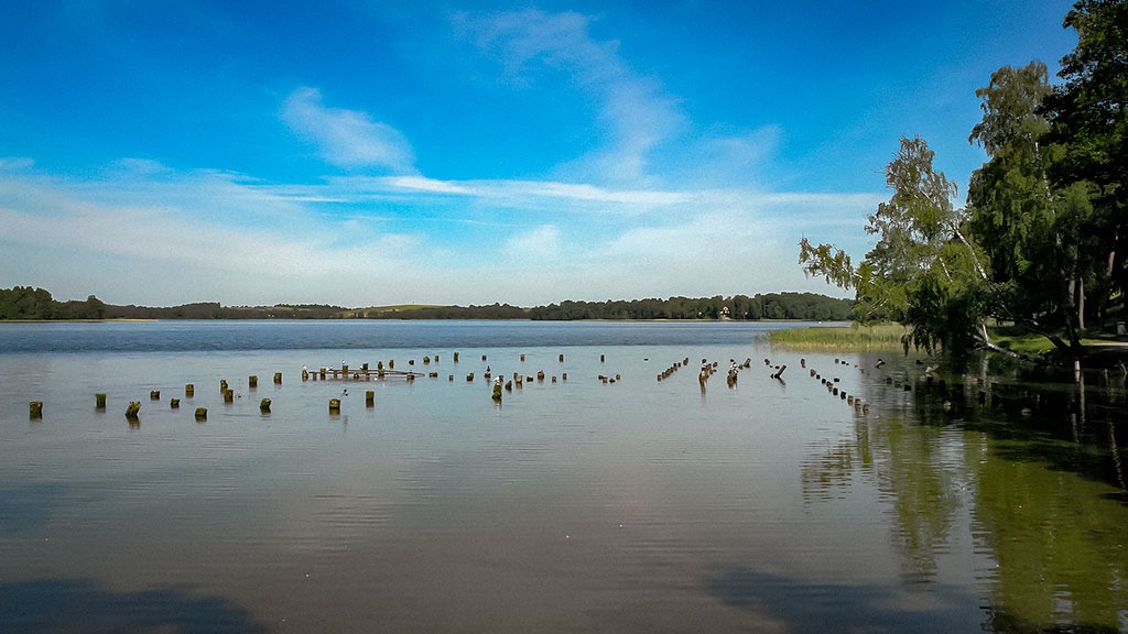 Ešeriai, guminukai, sukriukės... Antra dalis