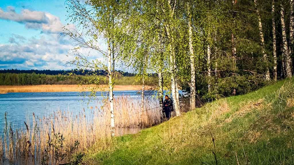 Nervų tąsytojas