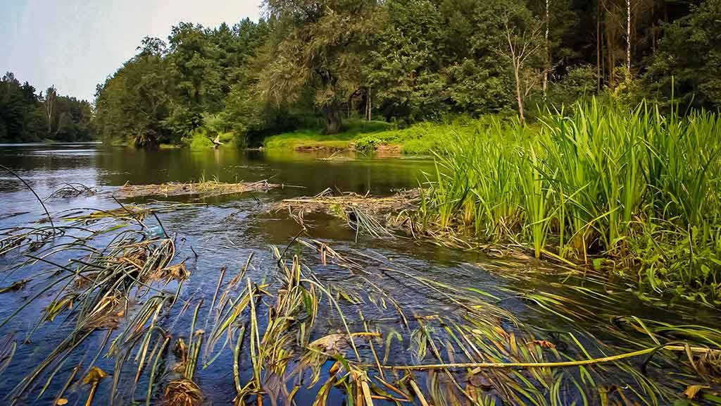 Tiesiai į gerklę. Pirma dalis