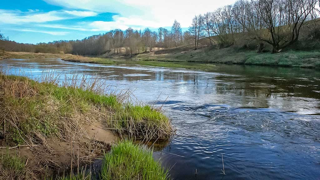 Pavasaris, palaidynė ir kuojos. Pirma dalis