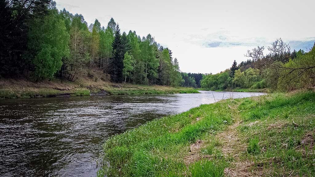 Pavasaris, palaidynė ir kuojos. Antra dalis