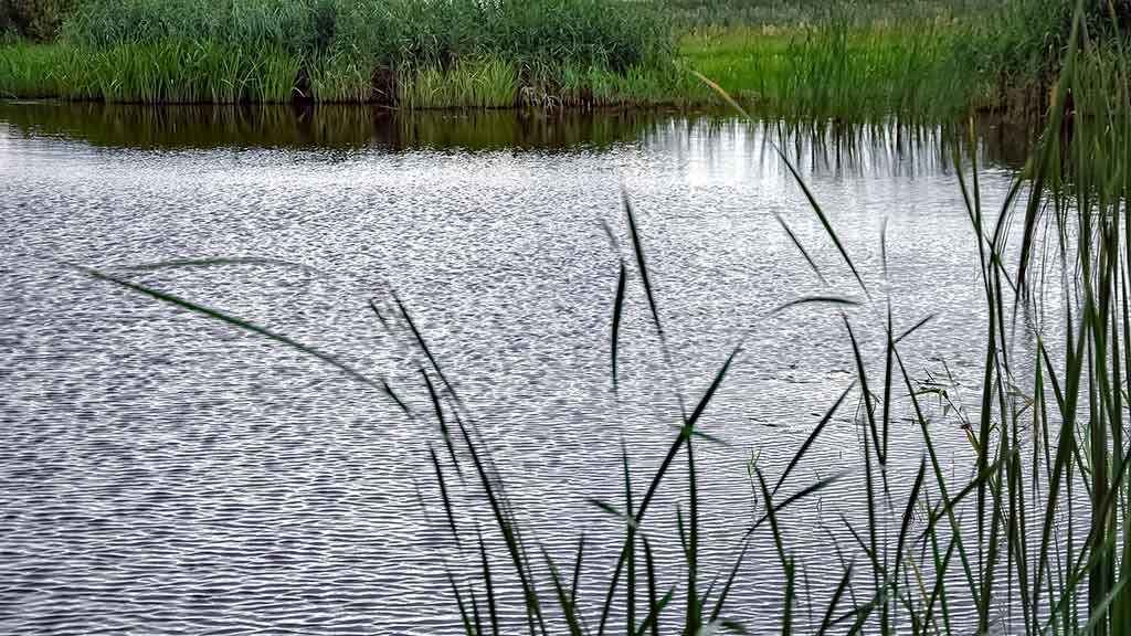 Lydekų žūklė nedideliuose kanaluose. Pirma dalis