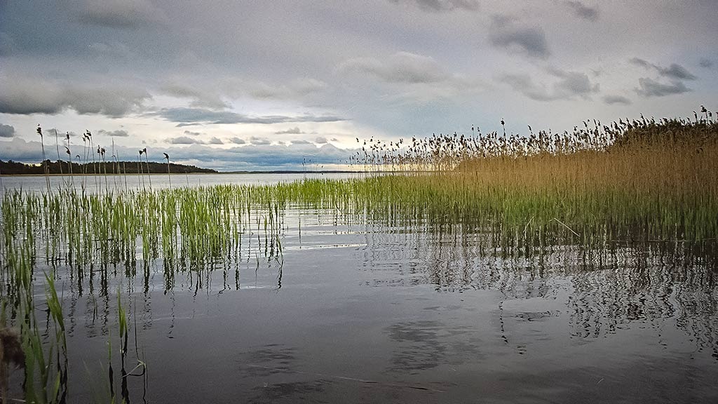 Su paternoster sistemėlėmis ir vobleriais. Trečia dalis