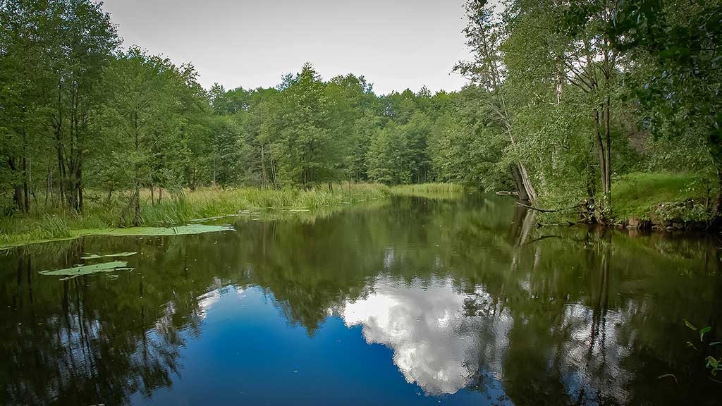 Geros žūklavietės, arba išmokime žvejoti savo galva. Antra dalis