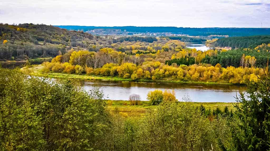 Gyvenimo upė. Pirma dalis