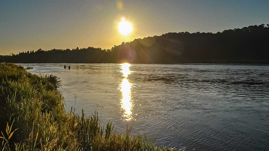 Gyvenimo upė. Antra dalis
