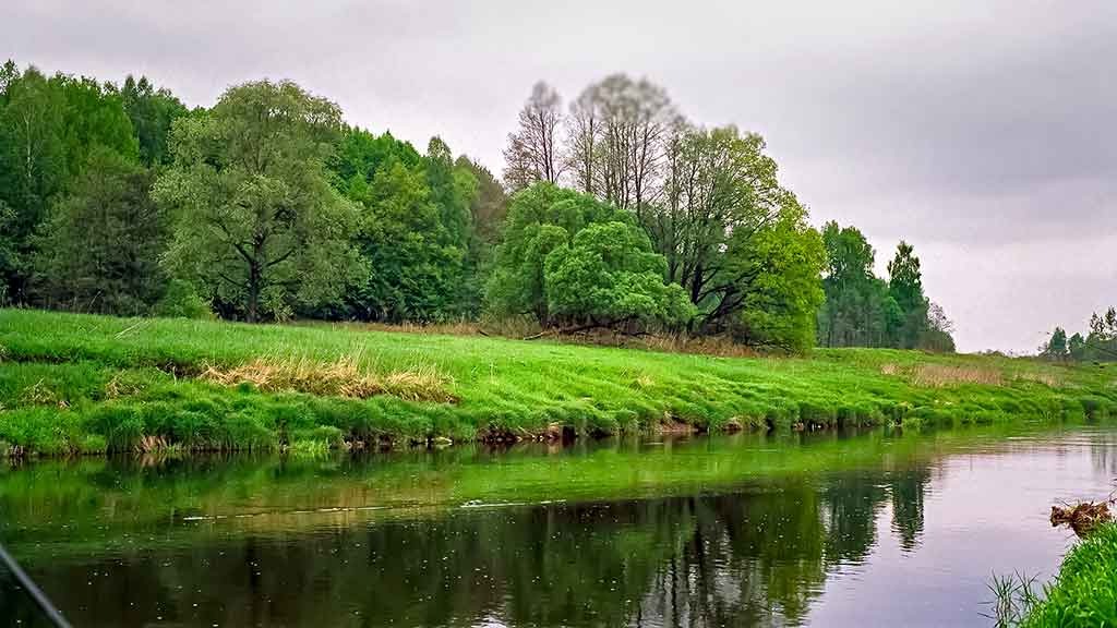 Šliužas – gardus kąsnis šapalui