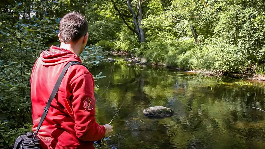 Vasara su ultralight, Antra dalis