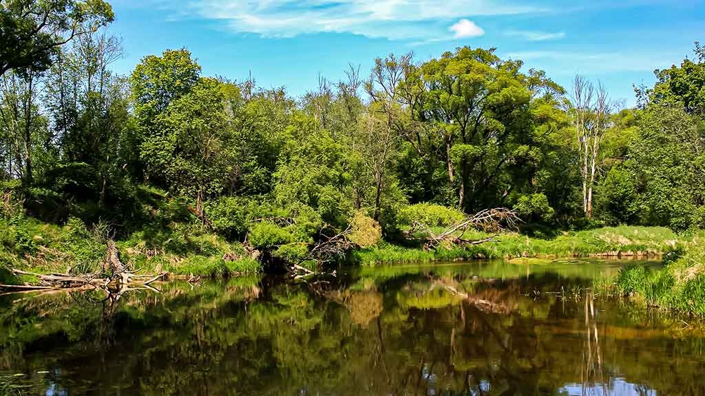 Vidurvasaris, upė ir vobleris. Pirma dalis