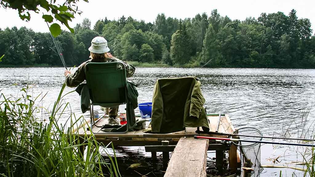 Bučiuojantis lelijas, arba kur baigiasi legendos apie lyną. Antra dalis