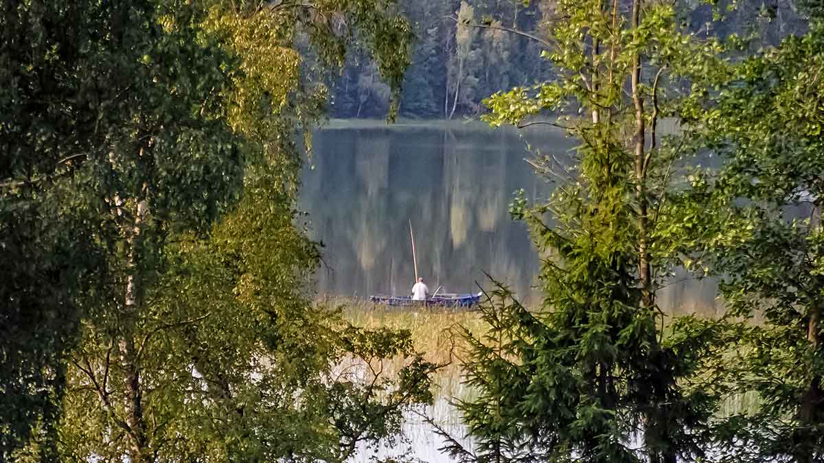 Apie vėją, nuskandintą valą ir karšiams skirtą waggler